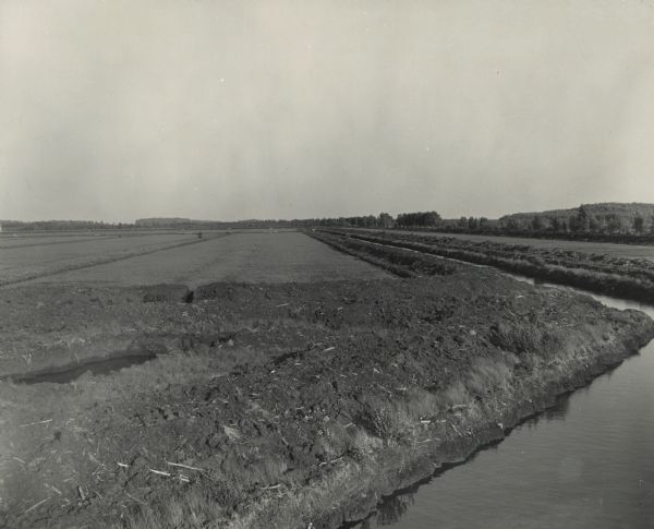 Cranberry fields with irrigation ditches.