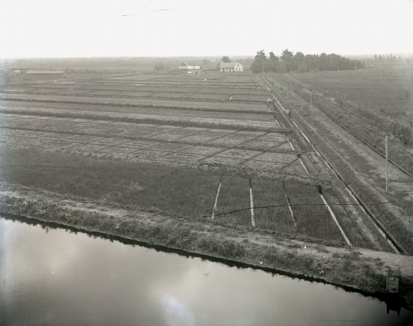 Elevated view of Wisconsin cranberry marshes with farmhouse in the background