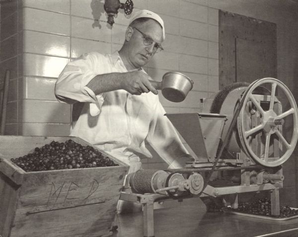 Professor Kenneth Weckel of the University of Wisconsin demonstrates his new method of preserving and canning cranberries whole without smashing them. The machine punctures each berry before processing.