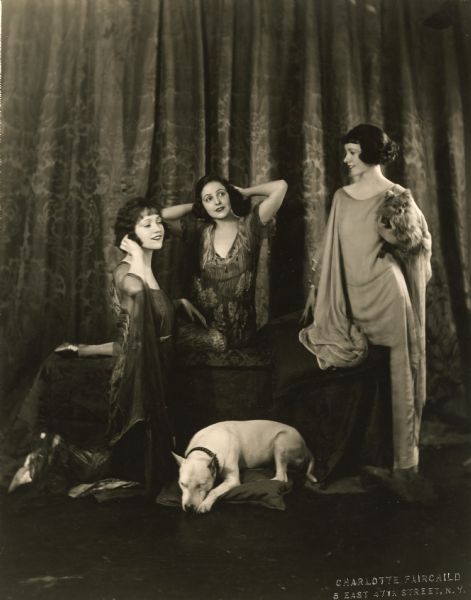 Studio portrait of the Talmadge sisters, Constance, Norma, and Natalie, posed with an American Staffordshire bull terrier and a Pomeranian. Constance and Norma are wearing Batik summer lounging robes.