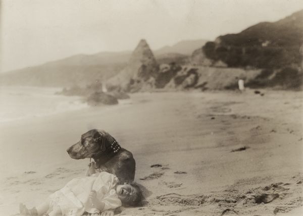 In this scene still for the 1915 silent short film "The Baby," Teddy the Dog lies on the beach and looks out at the Pacific. Baby Guerin has been placed on Teddy's paws and is wailing. Probably this pose was meant to suggest that Teddy has just rescued the child from drowning.