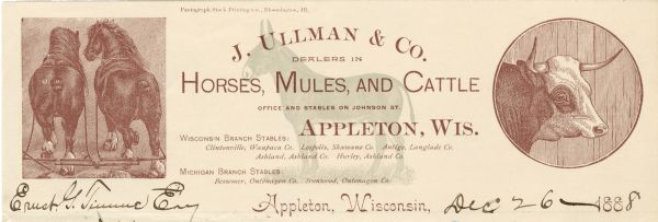 Memohead of J. Ullman & Co. of Appleton, Wisconsin, dealers in horses, mules, and cattle, with center text, a rear view of work horses harnessed to a pulling mechanism, and a circular close-up image of a cow's head, all printed in brown, plus a center background image of a mule, printed in green. "Pantagraph Stock Printing Co., Bloomington, Ill." appears at the top of the page.