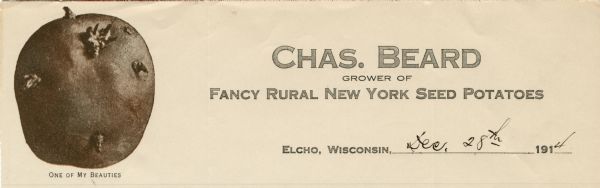 Letterhead of Chas. (Charles) Beard, a grower of fancy rural New York seed potatoes from Elcho, Wisconsin, with a duotone image of a potato, and "One of My Beauties" printed below it.