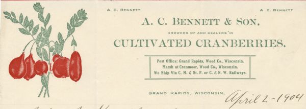 Letterhead of A.C. Bennett & Son, growers of and dealers in cultivated cranberries from Grand Rapids, Wisconsin, with a two-color illustration of cranberries growing on the vine and text printed in green.