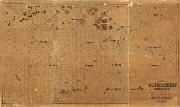 This map of Taylor County, Wisconsin, shows landownership, the township and range grid, towns, sections, cities and villages, railroads, tanneries, cemeteries, state land, "gov't. land" saw mills, residences, schools, roads, lakes and streams, and swamps.