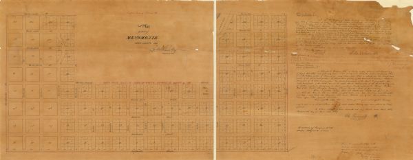 This plat map is pen on paper and shows numbered blocks and lots, local streets, and section lines. Also included is text on survey certifications. The top margin reads: "T.B. Wilson., proprietor."