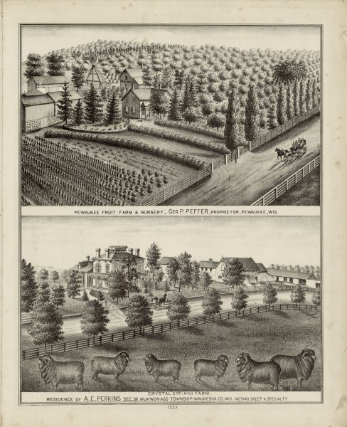 This lithograph shows two agricultural scenes. The top scene shows a a farm house, barn, outbuildings, and windmill. The buildings are surround by crops and trees. On the road in front of the farm is a carriage pulled by two horses with four passengers. The caption below the scene reads: "Pewaukee Fruit Farm & Nursery, Geo. P. Peffer, Proprietor, Pewaukee, Wis." The bottom scene shows an elaborate home with several outbuildings. The property is dotted with trees and a horse and buggy sit in front of the house. In the foreground are five sheep. The caption below the scene reads: "Crystal Springs Farm. Residence of A.E. Perkins Sec. 36 Mukwonago Township Waukesha Co. Wis. Merino Sheep A Specialty."