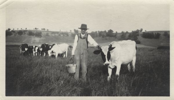 A farmer in overalls and hat stands in a pasture next to a Holstein cow. He holds a bucket and is gripping one of the cow's horns. More cows are grouped in the background on the left. Hills and trees can be seen on the horizon.