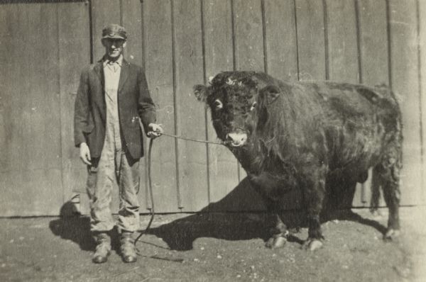Theodore Monn stands next to a bull, holding a rope connected to the ring in the bull's nose. He is wearing work clothes and a hat. In the background is the side of a wooden building.