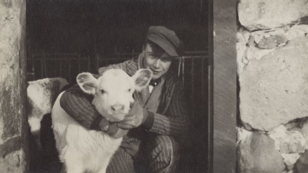 A young man is squatting in a doorway to a stone barn with his arm around the neck of a white calf. He is wearing striped pants and jacket with a cap. An enclosure and another calf can be seen in the barn behind him.