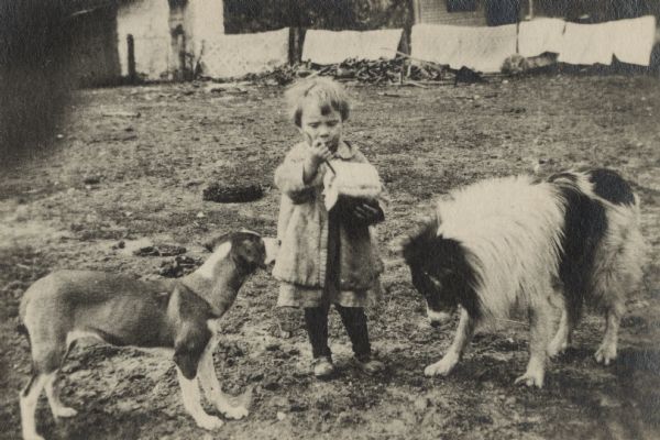 A young girl is cutting a loaf of bread with a knife while two dogs wait hopefully for a tidbit to drop to the ground. One dog is looking at the loaf while the other is staring at the ground. She is wearing a dress, jacket, stockings and shoes. Laundry is hanging on a clothesline in the background.
