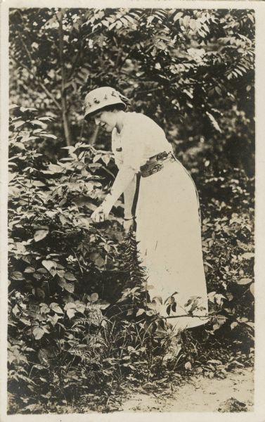 A woman in a dress and hat inspects some foliage in the woods.