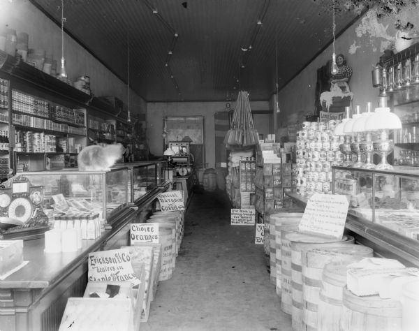 Interior of the A. Erickson & Company Grocery Store. There is a cat sitting on the counter on the left.	