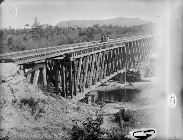 Elevated view from hill of two women, a girl, a boy, and a dog posed on a railroad bridge under construction. This is possibly over Hall's Creek, east of Merrillan.