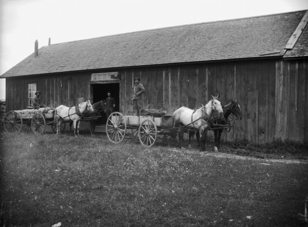 Two men posed in two wagons, each pulled by teams of two horse. One man is standing and the other is sitting on bags of grain. Behind them a man is posed standing in the open doorway of a long wooden building, possibly a mill.