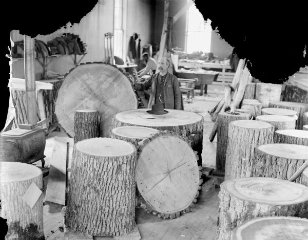 Man posing standing among tree sections on a sawmill floor.