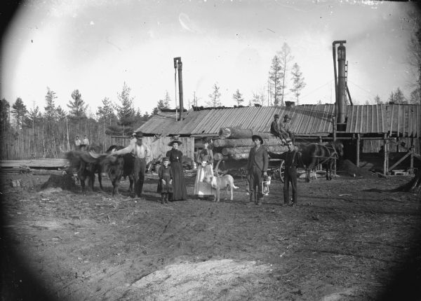 Two men, two women, a girl, and a dog posed standing next to a man displaying two oxen. In the background are two men posed sitting on a wagon loaded with logs and pulled by two horses in front of a sawmill. In the far background on the left two men are standing on stacks of lumber.
