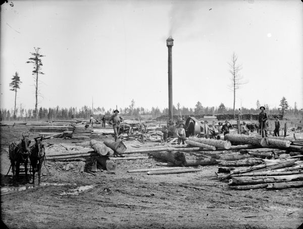 Men posed sawing timber using a steam-powered open-air saw.