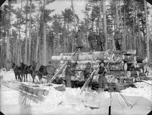 Eight men posed loading logs onto a bobsled pulled by three horses with hooks.	