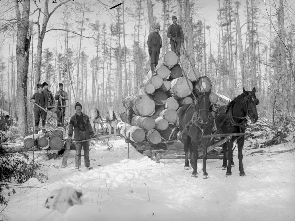 Two men posed standing atop a load of logs on a bobsled pulled by a team of two horses. Another four men posed arestanding and holding logging tools near the bobsled and in front of another team of two horses.	