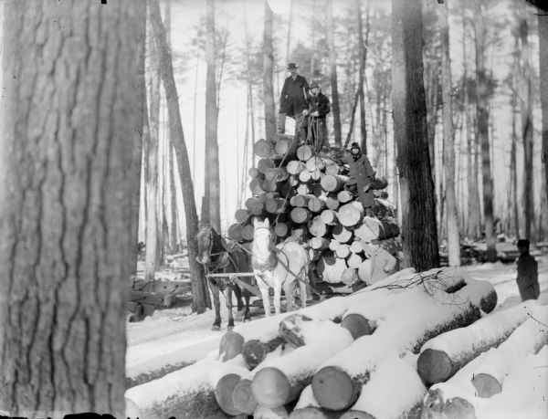 Three men posed standing atop a bobsled loaded with logs and pulled by a team of two horses. Another two men are posed standing nearby, in the woods and among fallen trees covered by snow.	