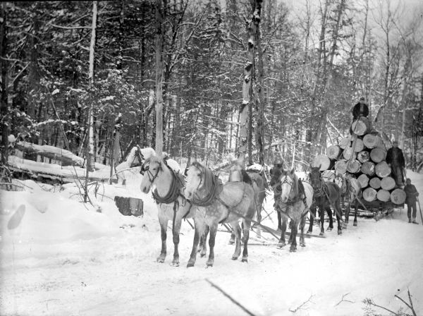 Three men posed standing and sitting with a bobsled loaded with logs and pulled by a team of eight horses in the woods.	