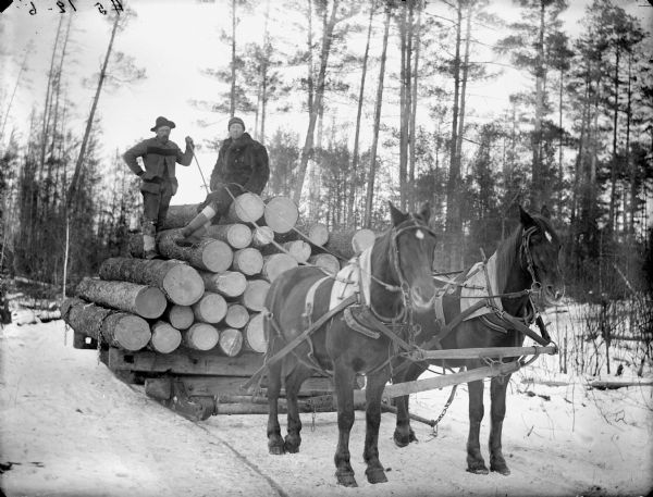 Two men posed standing and sitting on a bobsled loaded with logs and pulled by a team of two horses in the woods.	