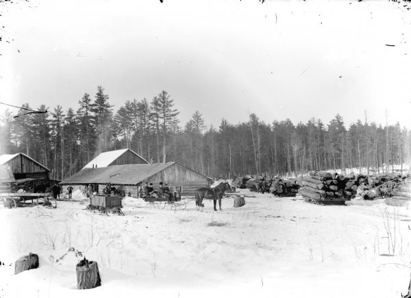 Logging camp with numerous bobsleds loaded with logs. Two men and two women are posed sitting in a sleigh pulled by a team of two horses in front of a wooden building.	