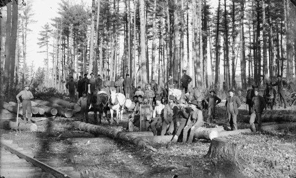 Group of men posed sitting and standing near three teams of two horses and logs in the woods.	