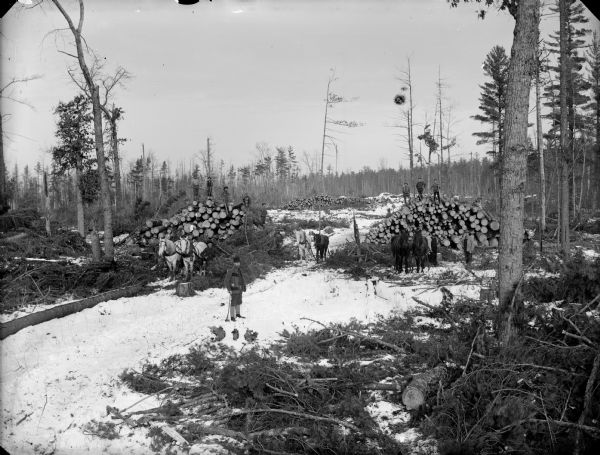 Men Posed Around Logs | Photograph | Wisconsin Historical Society