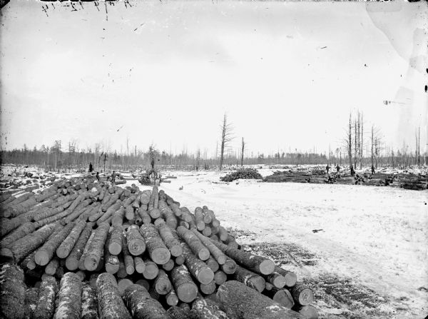 View over piles of logs of a man posed standing on a bob sled loaded with logs and pulled by a team of two horses. Seven other men are posed among other log piles.	