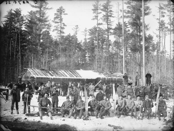 Group portrait of men posed standing, sitting and holding tools in a snow-covered logging camp in front of several teams of oxen and horses. One man holds a violin or fiddle.	