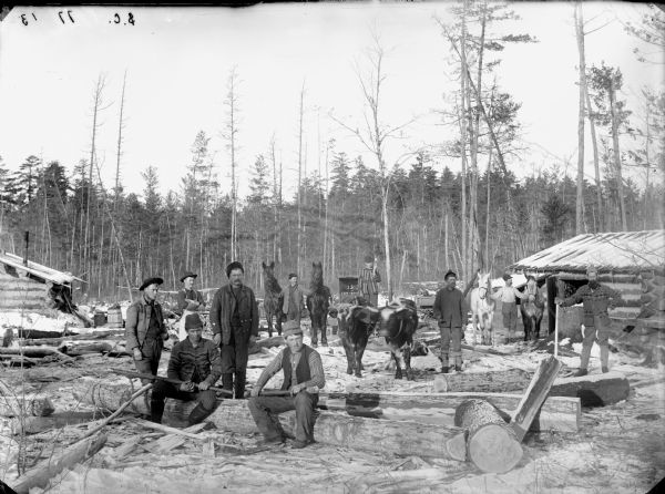 Group of men posed holding logging tools while sitting and standing in a logging camp. Two men stand displaying two teams of two horses, and one man is displaying a team of oxen. The photographer's wagon is in the background.