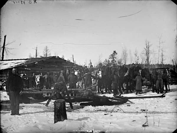 Group of men posed standing and sitting on the snow-covered ground by an empty sled and in front of log buildings, several horse teams and a team of oxen.	