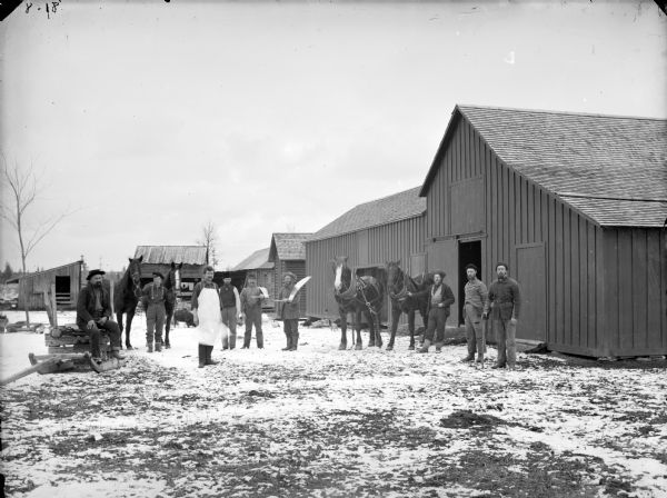 Group of men posed holding logging tools. They are standing and sitting in front of wooden buildings. Two men display two teams of horses. Behind the group is what appears to be some swine. A flock of chickens are near a hen house on the right.	