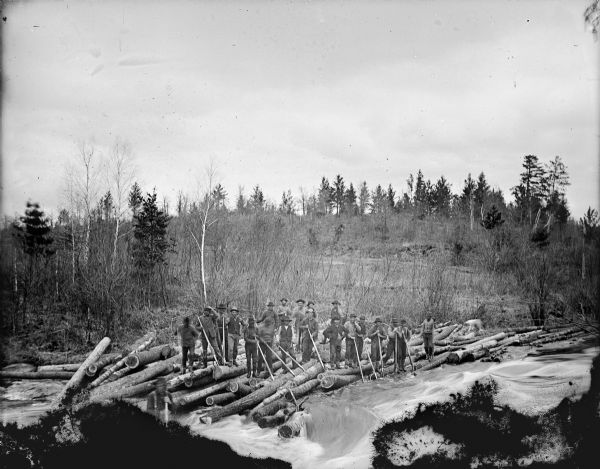 Elevated view of a group of men posed standing and holding logs in a river with pike hooks. There appears to be a dog on the right of the group standing on logs.