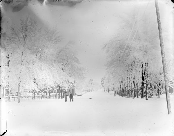 Winter scene down the middle of a road with two boys standing in the snow. The road is lined by trees laden with ice.	