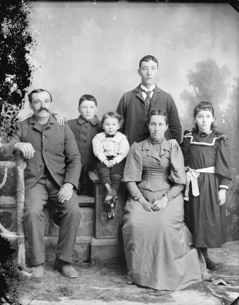 Studio portrait in front of a painted backdrop of a man, woman and boy posed sitting on a stone wall, near a young man, boy and girl. Probably Charles Stein and family. They lived five miles west of Black River Falls.	