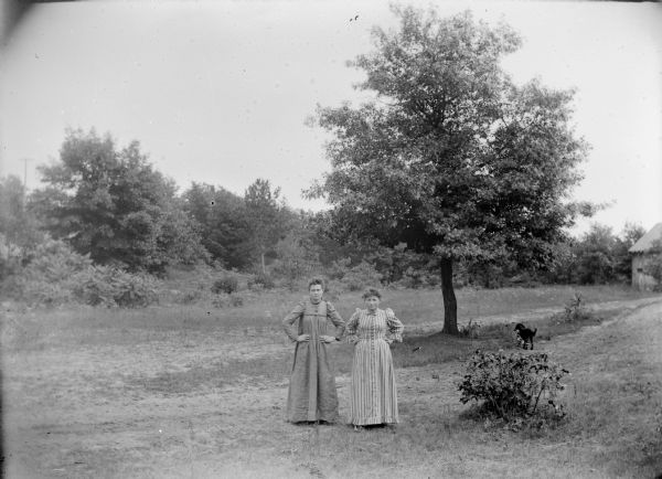 Two women wearing long dresses are posed standing with their hands on their hips in a field in front of a tree. There is a dog near the tree, and part of a building can be seen in the background on the right.