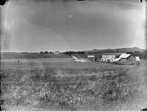 Fields, cattle in a pasture, and farm buildings in the countryside, possibly near Avon, Wisconsin.
