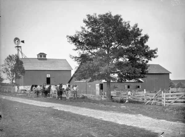 View across road towards a man and a boy posing sitting in a buggy pulled by a team of two horses, and a man standing near another buggy pulled by a team of two horses in front of a barn and other farm buildings. Negative marked with ink "No. 6."