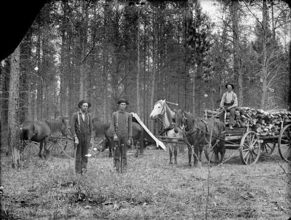Three men are posing in a stand of pines. On the left two men are standing and holding axes, and on the right is a man posing sitting in a wagon loaded with logs pulled by a team of two horses. In the background are two more horses standing in front of a tent.
