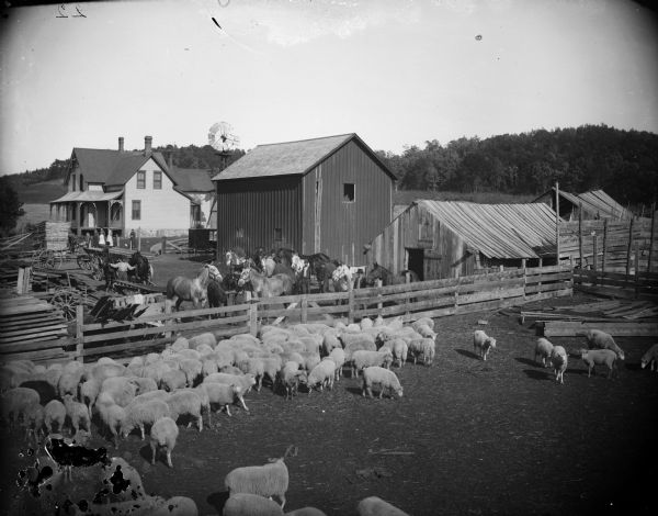 Elevated view over sheep pen towards men displaying several horses in a yard among farm buildings, a frame house and a windmill. Three women and two young girls are standing in the yard near the porch.