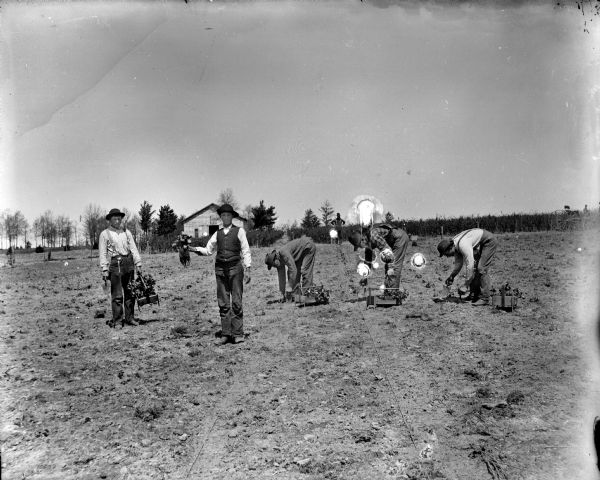 Five men are planting a field, probably planting trees at the Lake Nursery. Behind them is a man standing near a farm building among rows of plants. Another man is standing near a wagon in the background on the far right.