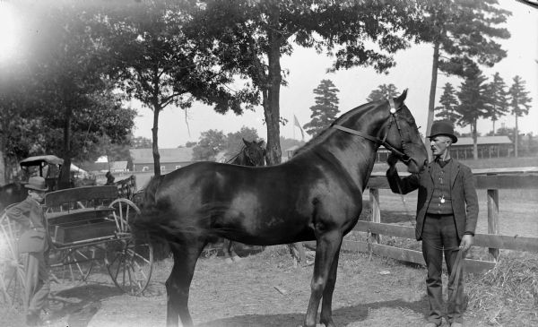 Man displaying a stallion near a wooden fence and in front of several buggies and a boy standing on the left, probably at the Jackson County Fairgrounds. In the background is a fence, a flag on a flagpole, and buildings.