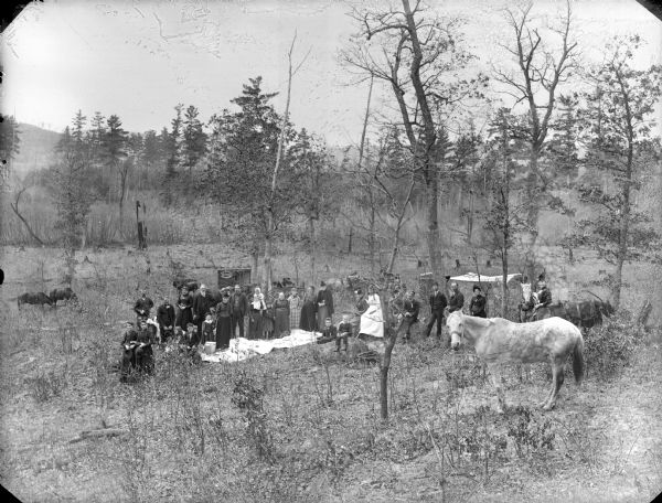 View down slope towards a large group of men, women, and children posing sitting and standing in a wooded field in front of a traveling photographer's wagon belonging to C.R. Monroe. Horses are grazing, and a blanket has been spread on the ground, perhaps for a picnic.