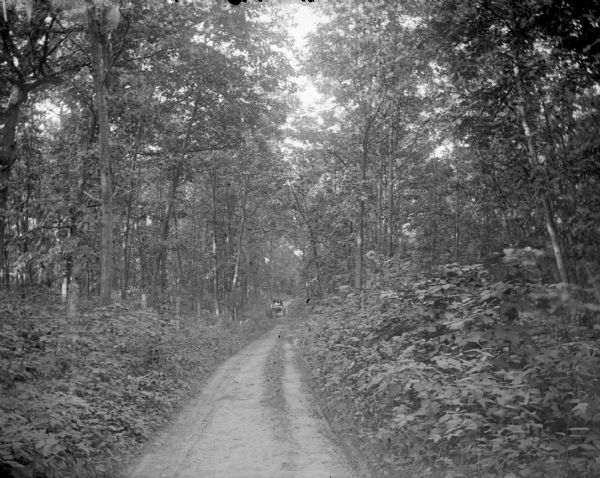 View down narrow, unpaved road surrounded by trees towards a man and woman in a buggy pulled by a single horse coming up the road. There is a fence on the left.	