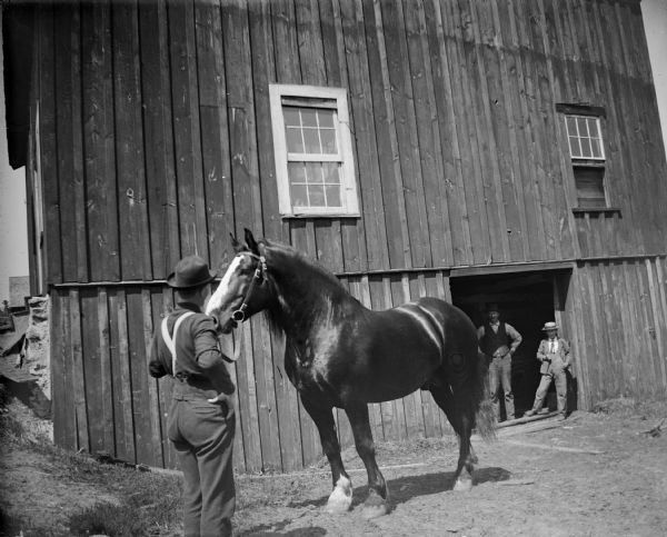 View of a man standing in front of a barn/stable displaying a draft horse. Two men are standing in the open barn door on the right.	