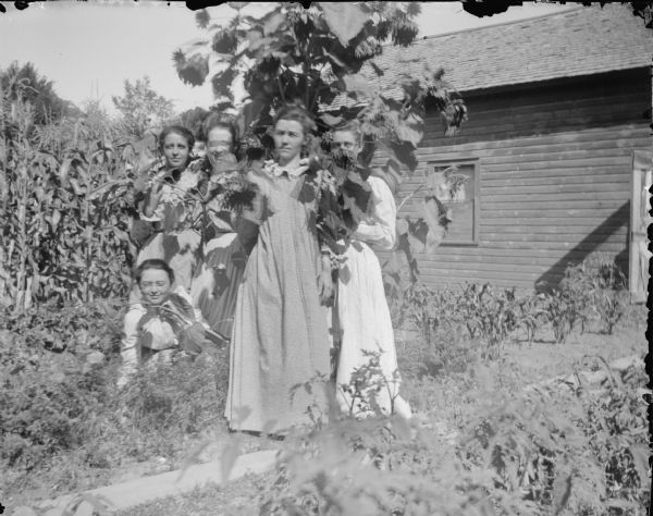 Group portrait of five women posing around a sunflower plant in front of a cornfield. On the right is the front of a wooden building.	