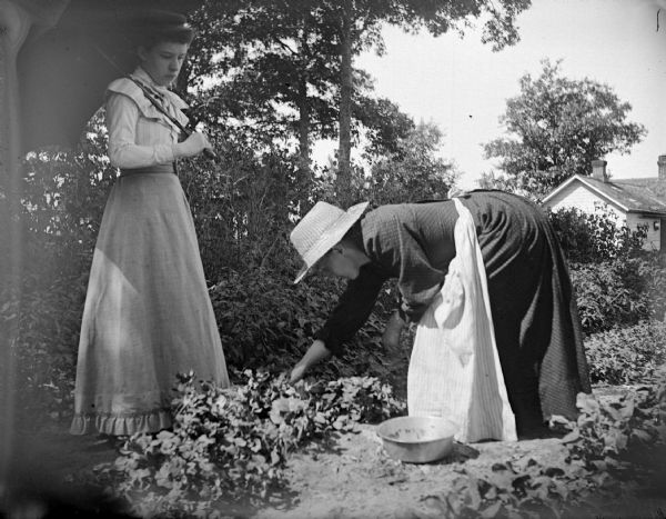 A woman on the left is standing holding an umbrella looking down at a woman who is bending over picking vegetables. In the background on the right is a house.